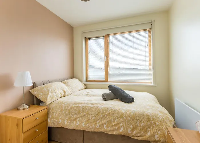 Stylish At Aviva * Dublin