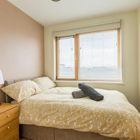 Stylish At Aviva * Dublin